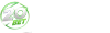 20bet